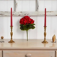 Red Geranium Bush, 4ct.