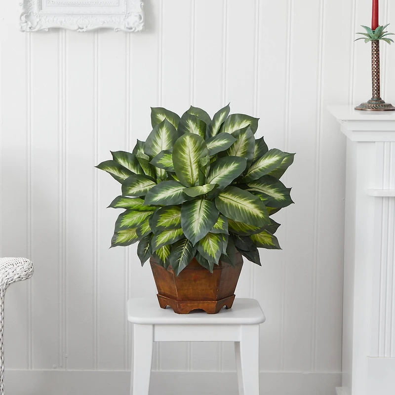 24" Golden Dieffenbachia Plant in Decorative Pot