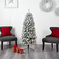 5ft. Pre-Lit Flocked Montreal Fir Artificial Christmas Tree, Warm White LED Lights