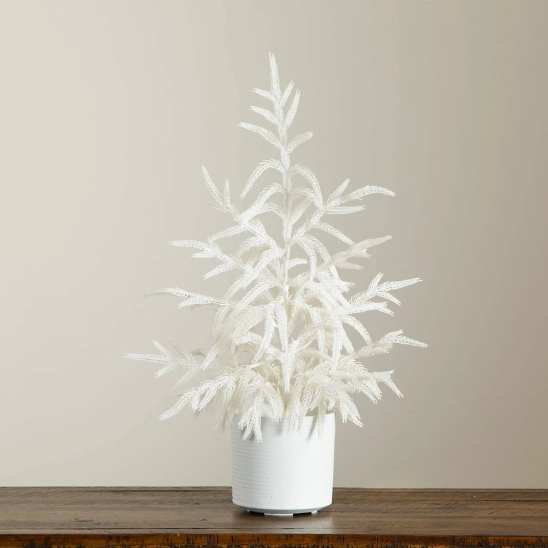 2ft. Artificial Real Touch White Norfolk Island Pine Christmas Tree with Natural Look