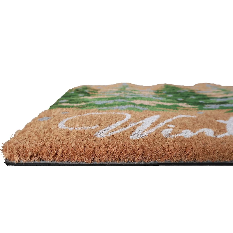 Winter Wishes Light Up Doormat by Ashland®