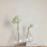 Hello Honey® 11" Clear Rounded Timeless Elegance Glass Bottle Vase