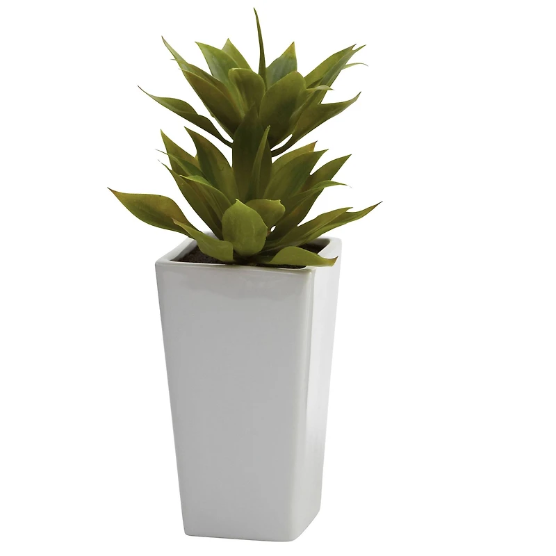11.5" Double Mini Agave Arrangement with Planter, 2ct.