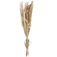 62" Beige Dried Plant Assorted Bouquet Palm Leaf Natural Foliage with Branch Accents