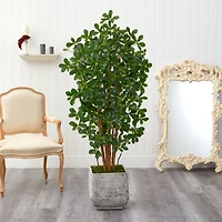 5.5ft. Black Olive Artificial Tree with 1365 Bendable Leaves in White Planter