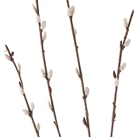 18 Pack: Pussy Willow Stem by Ashland®