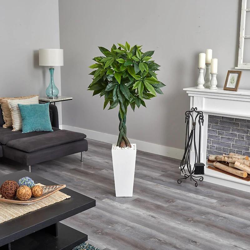5.5ft. Money Tree in White Tower Planter