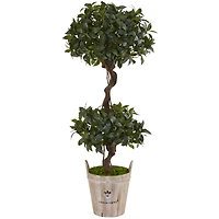 4.5ft. Sweet Bay Double Topiary Tree in Farmhouse Planter