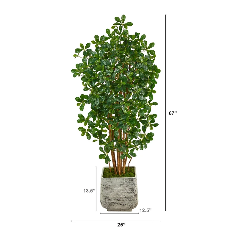 5.5ft. Black Olive Artificial Tree with 1365 Bendable Leaves in White Planter