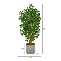 5.5ft. Black Olive Artificial Tree with 1365 Bendable Leaves in White Planter