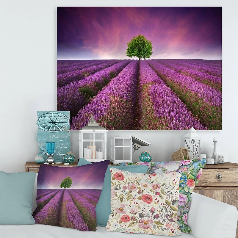 Designart - Stunning Lavender Field Summer Sunset With Tree