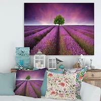 Designart - Stunning Lavender Field Summer Sunset With Tree