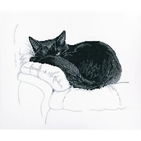 RTO Among Black Cats M668 Cross Stitch Kit