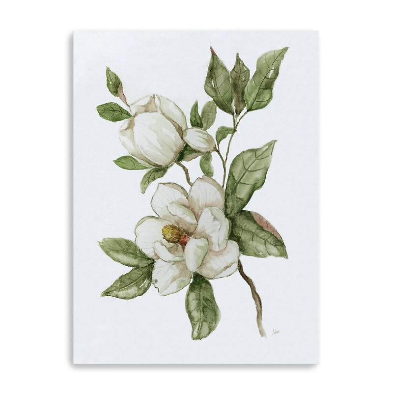 Magnolia Morning II Canvas Giclee