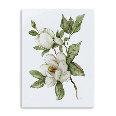 Magnolia Morning II Canvas Giclee
