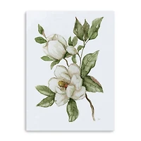 Magnolia Morning II Canvas Giclee