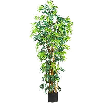 6ft. Potted Curved Bamboo Tree