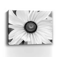 Bloomin Sunshine Canvas Giclee