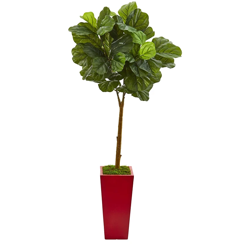 4ft. Fiddle Leaf Tree in Red Planter
