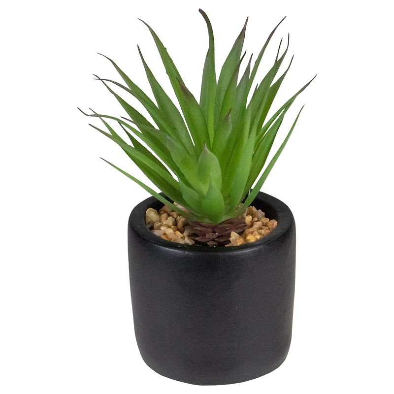 7" Green Sword Grass in Black Pot