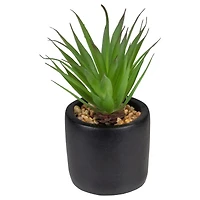 7" Green Sword Grass in Black Pot
