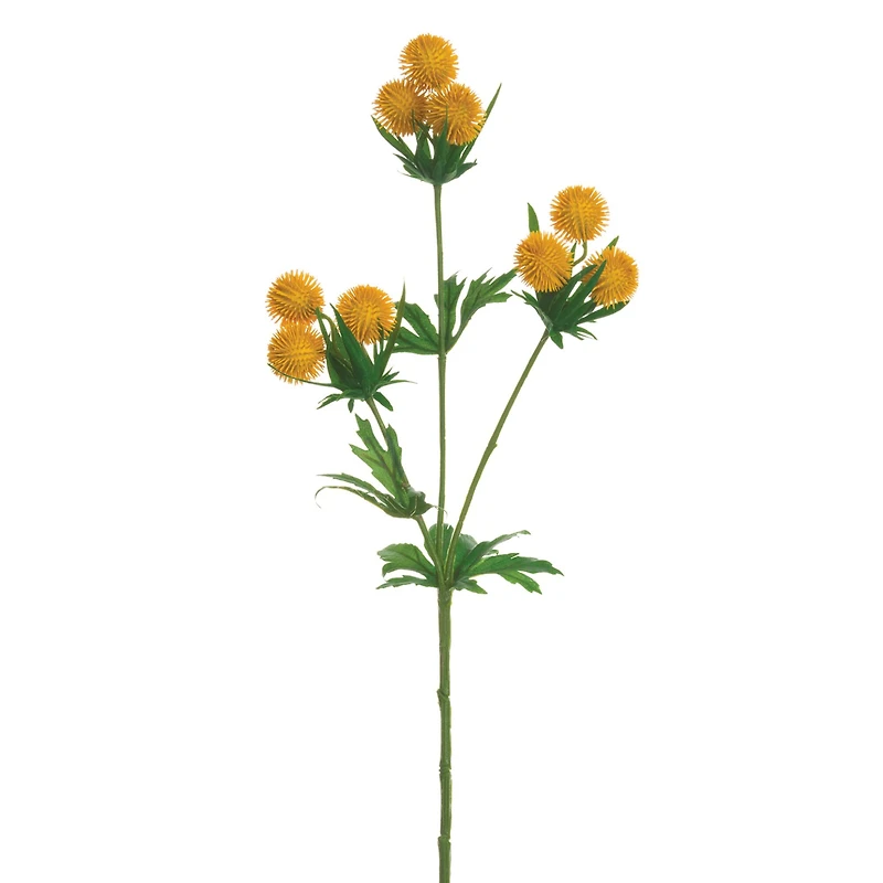 24 Pack: Yellow Globe Thistle Spray