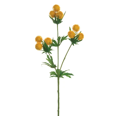 24 Pack: Yellow Globe Thistle Spray