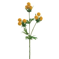 24 Pack: Yellow Globe Thistle Spray