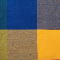 DII® Summer Check Napkin, 4ct.