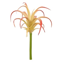 Assorted 7" Tillandsia Pick by Ashland®