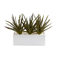11" Triple Aloe Succulent Artificial Plant in White Planter