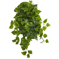 Green Deluxe London Ivy Hanging Bush, 3ct.