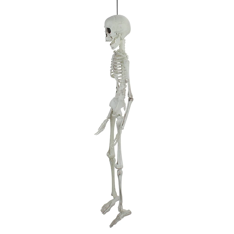 20" Jointed Skeleton Hanging Halloween Decoration