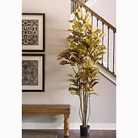 7ft. Potted Green & Orange Croton Tree