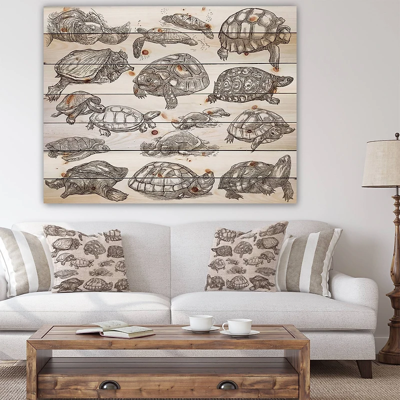 Designart - Turtles in Freehand sketching