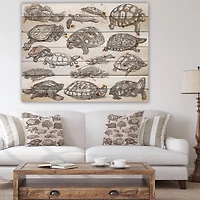 Designart - Turtles in Freehand sketching