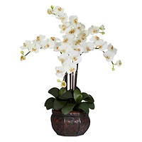 3ft. White Moth Orchid Arrangement in Decorative Vase