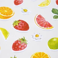 Citrus Fruit Puffy Stickers by Recollections™