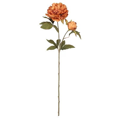 27.5" Brown Peony Stem by Ashland®