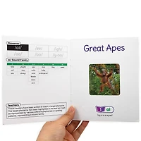 Junior Learning® Decodable Readers Sound Families Long Vowels Non-Fiction Phase 5.5