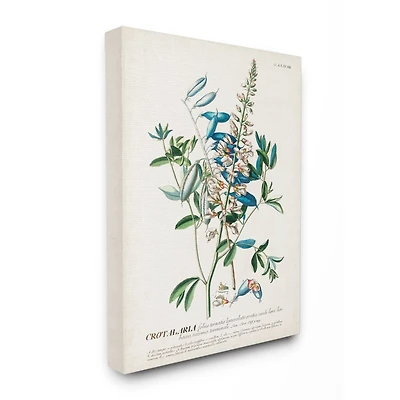 Stupell Industries Vintage Flowers & Leaves Canvas Wall Art