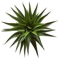 28” Potted Agave Plant