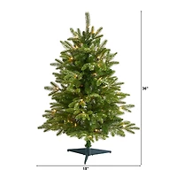 3ft. Pre-Lit Grand Teton Fir Artificial Christmas Tree, Clear LED Lights