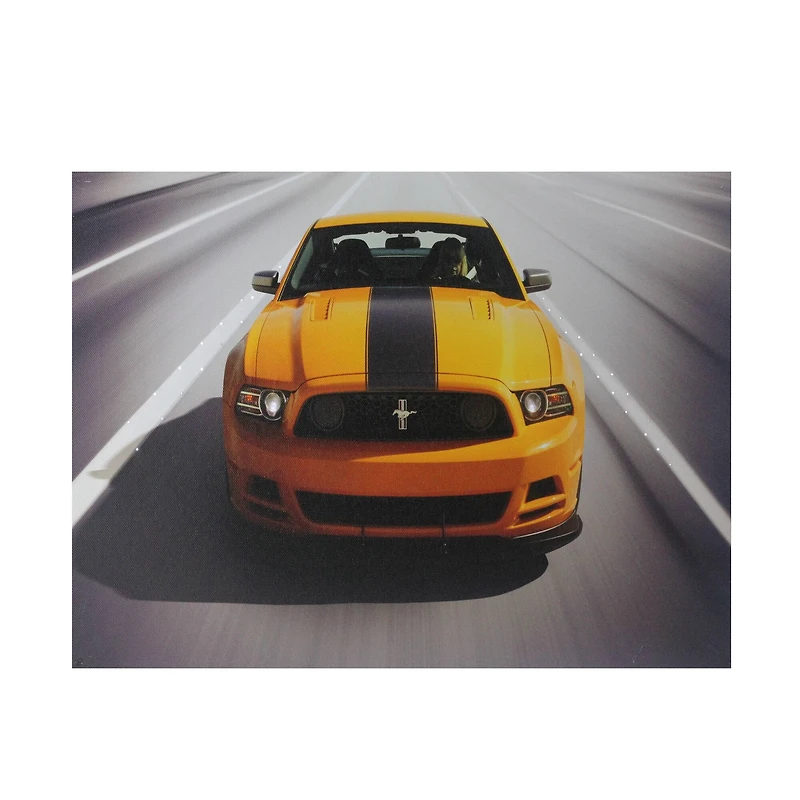 Fiber Optic & LED 2013 Ford Mustang Boss 302 Canvas Wall Art