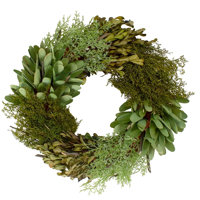 14" Green Cedar Succulent & Day Grass Artificial Spring Wreath
