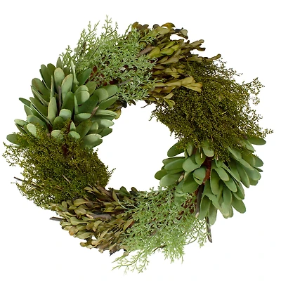 14" Green Cedar Succulent & Day Grass Artificial Spring Wreath