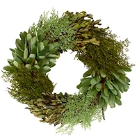 14" Green Cedar Succulent & Day Grass Artificial Spring Wreath