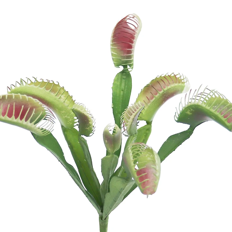 11.25" Red & Green Venus Flytrap Pick by Ashland®