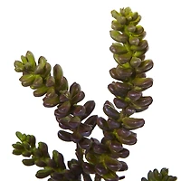 Green Succulent Stem, 12ct.