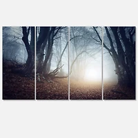 Designart - Magical Trees in Mysterious Forest